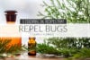 6 Essential Oil Recipes to Repel Summer Bugs