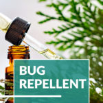 6 Essential Oil Recipes to Repel Summer Bugs