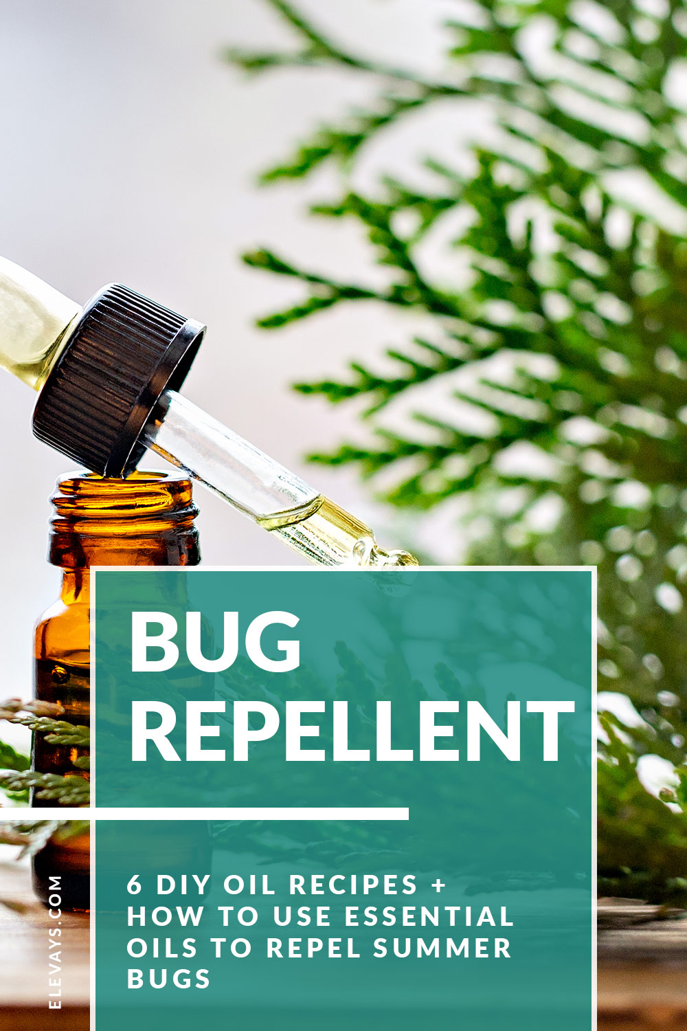 6 Essential Oil Recipes to Repel Summer Bugs