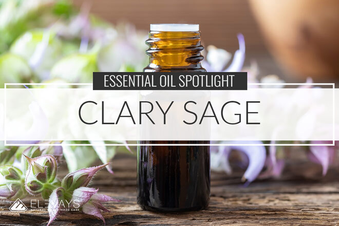 Clary Sage Essential Oil Benefits