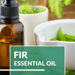 The 5 Benefits of Fir Essential Oil + Supportive DIY Oil Recipes & Diffuser Blends