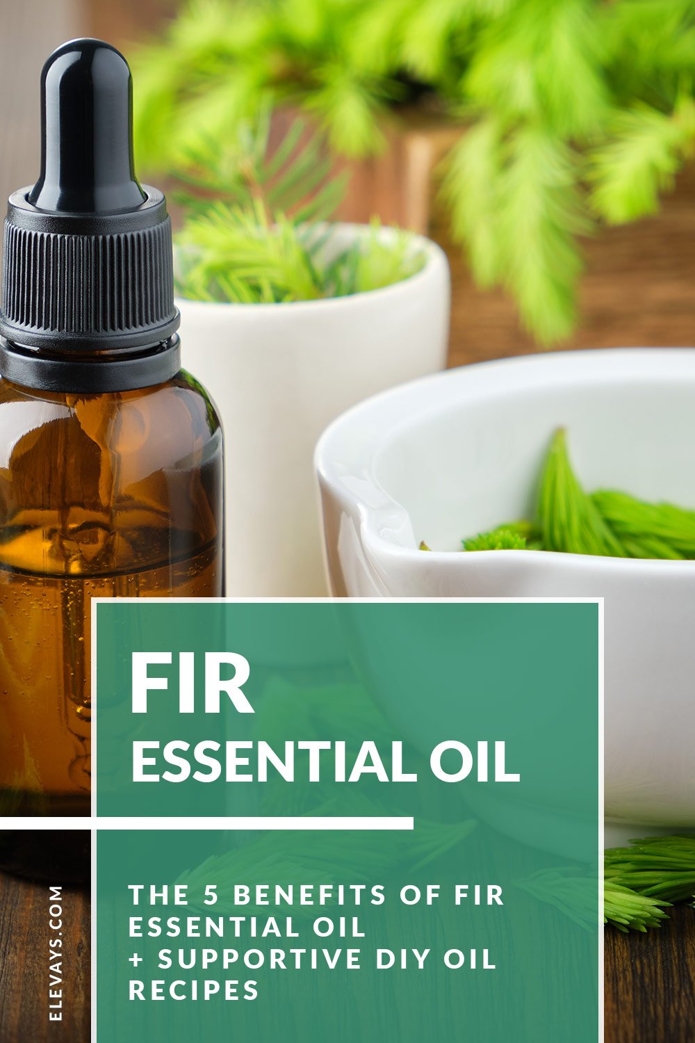 The 5 Benefits of Fir Essential Oil + Supportive DIY Oil Recipes & Diffuser Blends