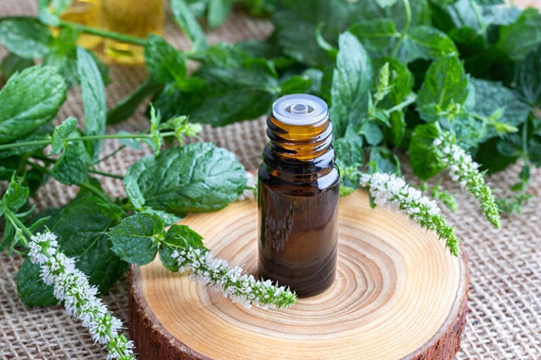 7 Benefits of Peppermint Essential Oil