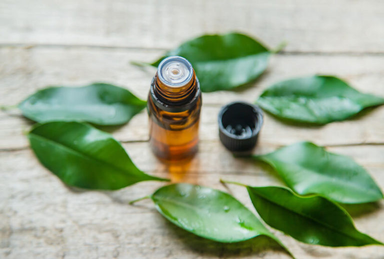 7 Benefits of Tea Tree Essential Oil