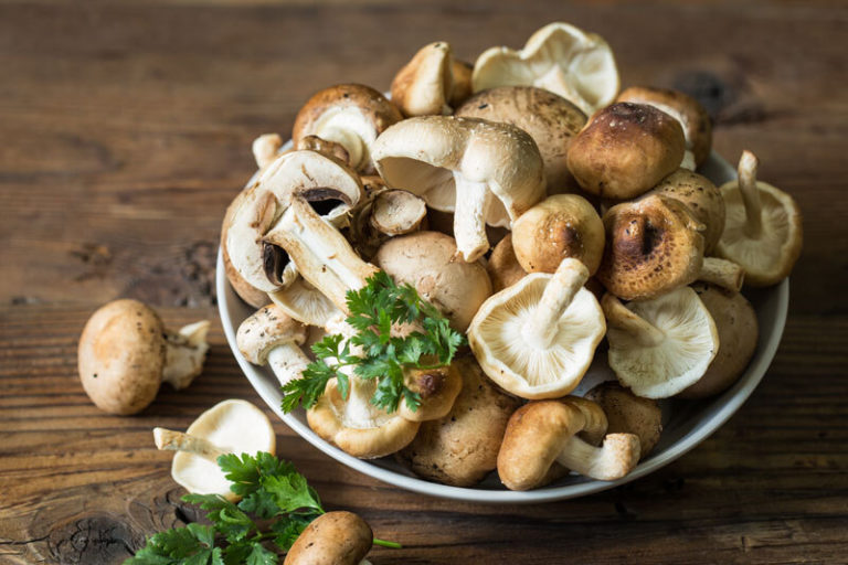 Mushrooms for Skincare and Beauty