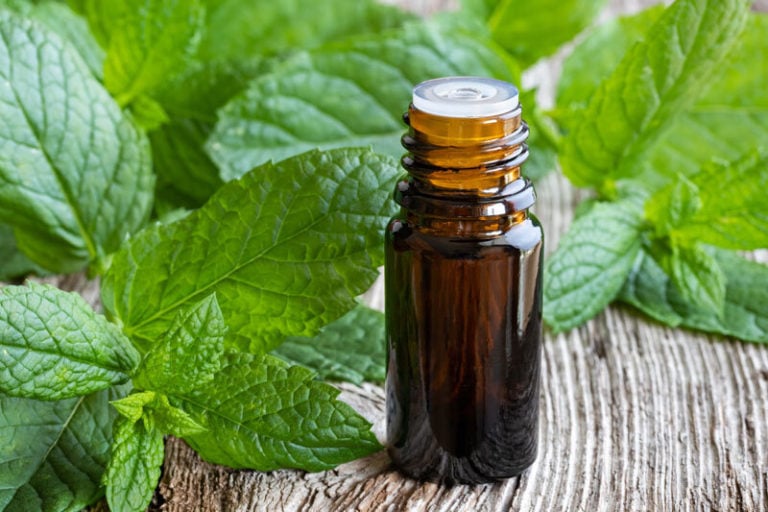 The Best Essential Oils for Body Odor & Recipes