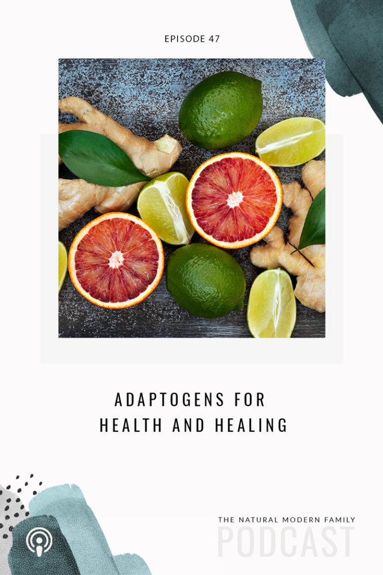 47: Adaptogens for Health and Healing