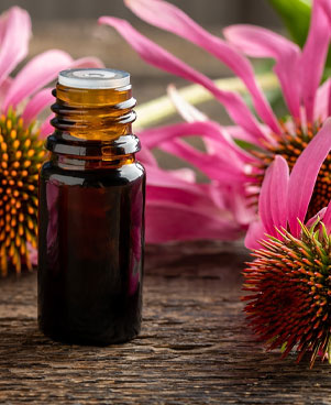 Essential Oils Everyone Should Have Featured