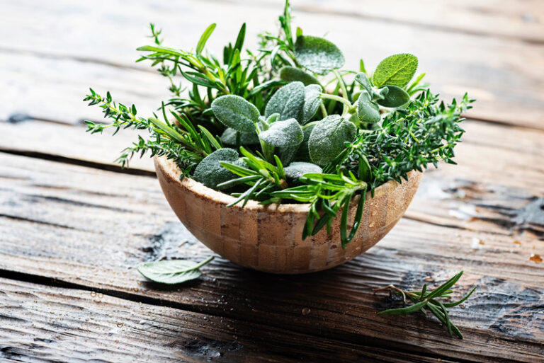 8 Herbs for Energy & Adrenal Fatigue