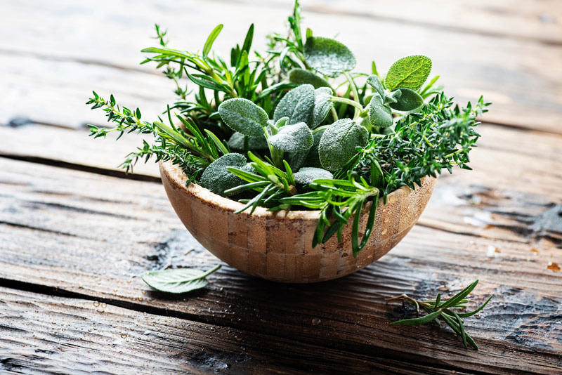 8 Herbs for Energy & Adrenal Fatigue