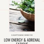 8 Adaptogenic Herbs for Low Energy - The Adrenal Fatigue Diet -Pinterest Pin