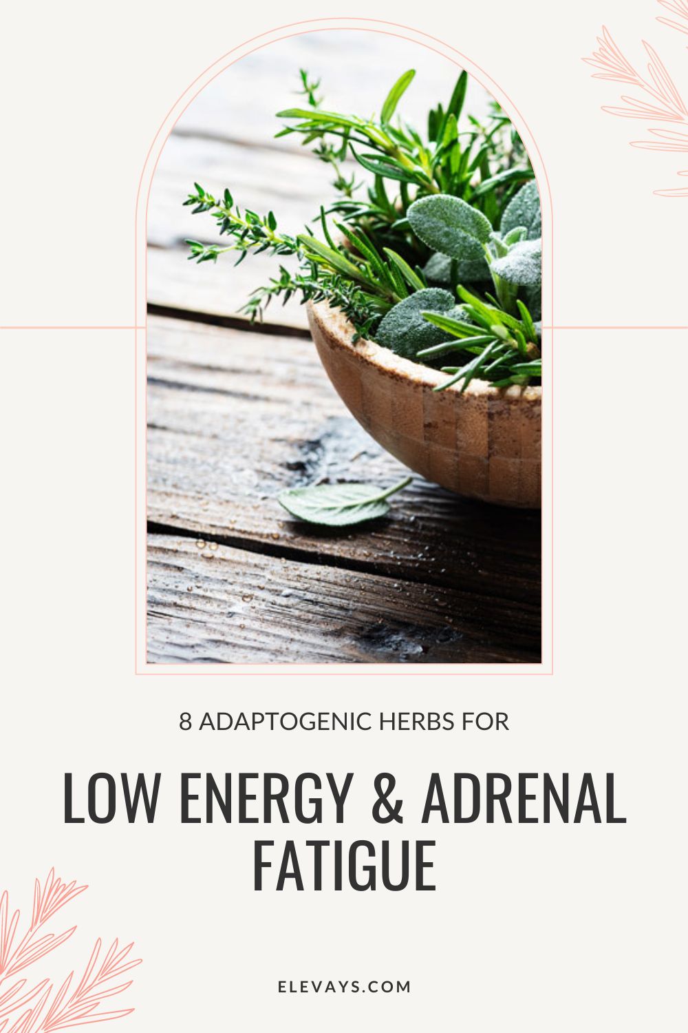 8 Herbs for Energy & Adrenal Fatigue Elevays