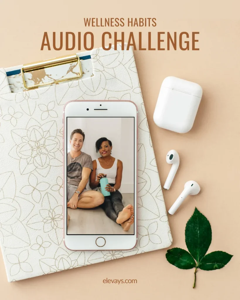 Wellness Habits Audio Challenge High Performers