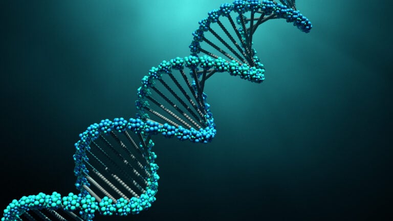 What Are Biological Age Tests & Are They Worth It?